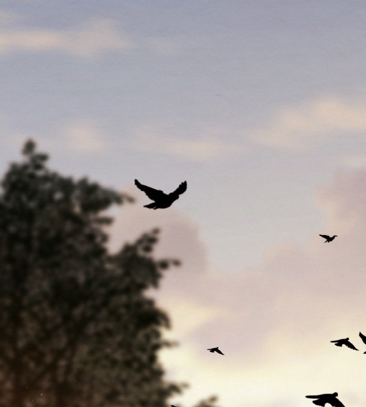 Đệ Tử Của Võ Lâm Minh Chủ - Page 275