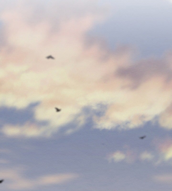 Đệ Tử Của Võ Lâm Minh Chủ - Page 274