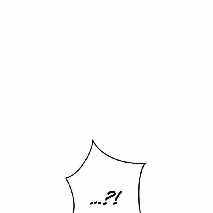 vô song cùng với vũ khí ẩn - Page 117