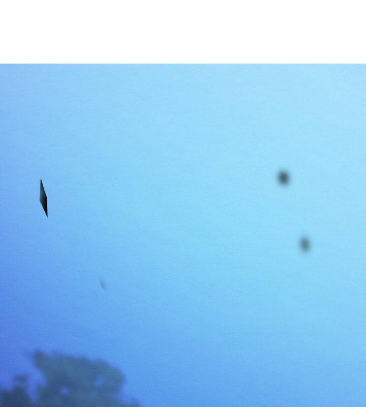 Đệ Tử Của Võ Lâm Minh Chủ - Page 231