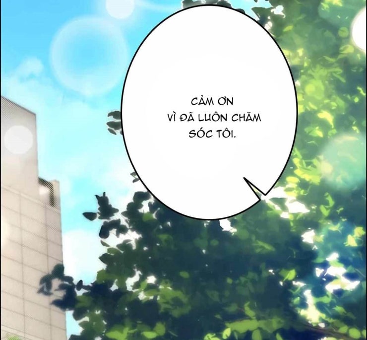 Lượng Mana Đáy Xã Hội! Ta Vô Địch Nhờ Kỹ Năng Của Mình - Page 121