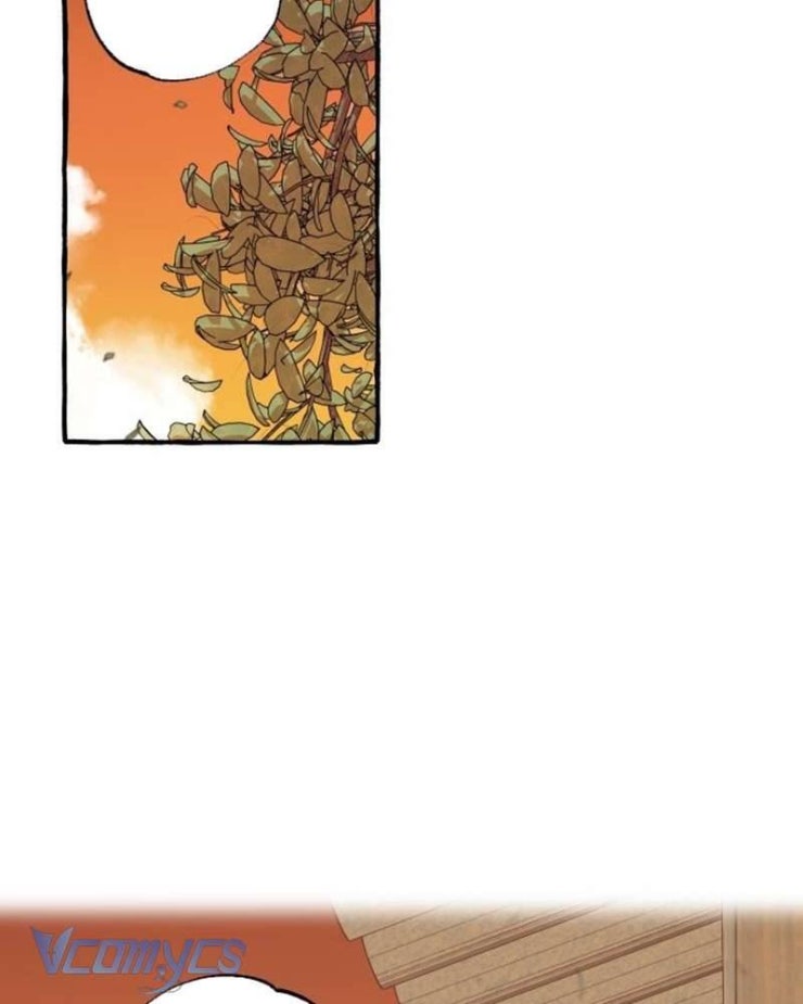 Chuyện Tình Hoa Lưu Ly - Page 137