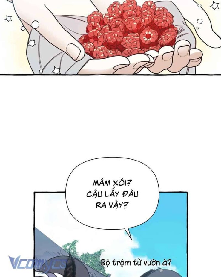 Chuyện Tình Hoa Lưu Ly - Page 7