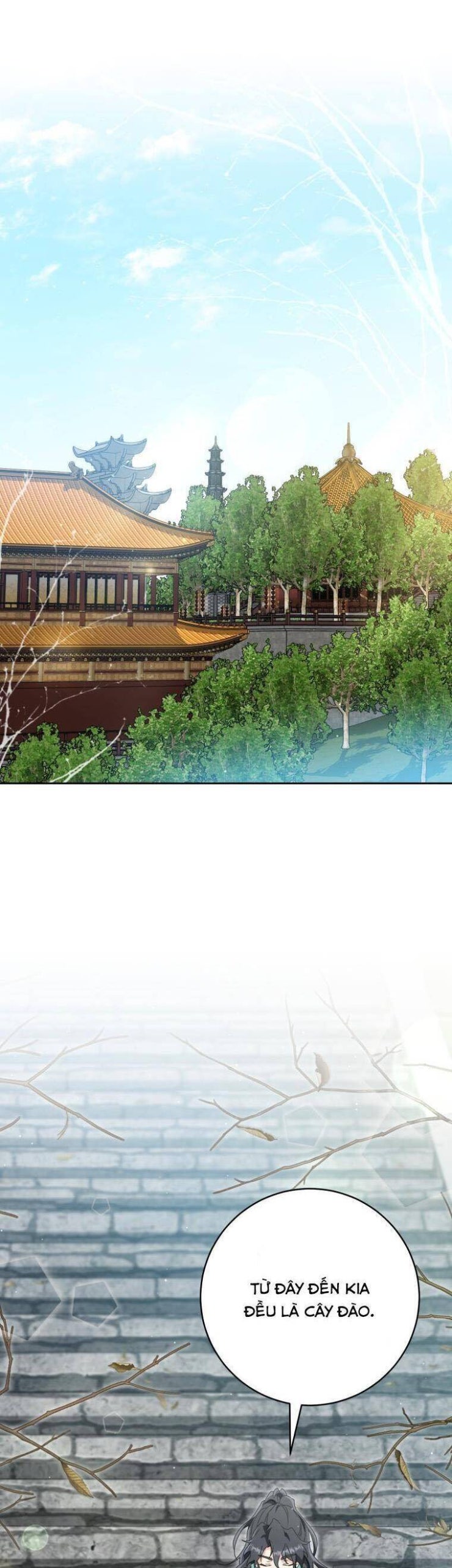 Trở Thành Cô Cháu Gái Bị Khinh Miệt Của Gia Tộc Võ Lâm - Page 13