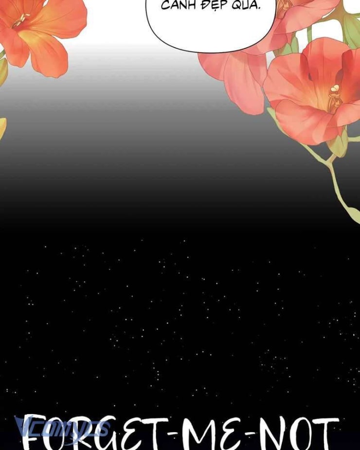 Chuyện Tình Hoa Lưu Ly - Page 6