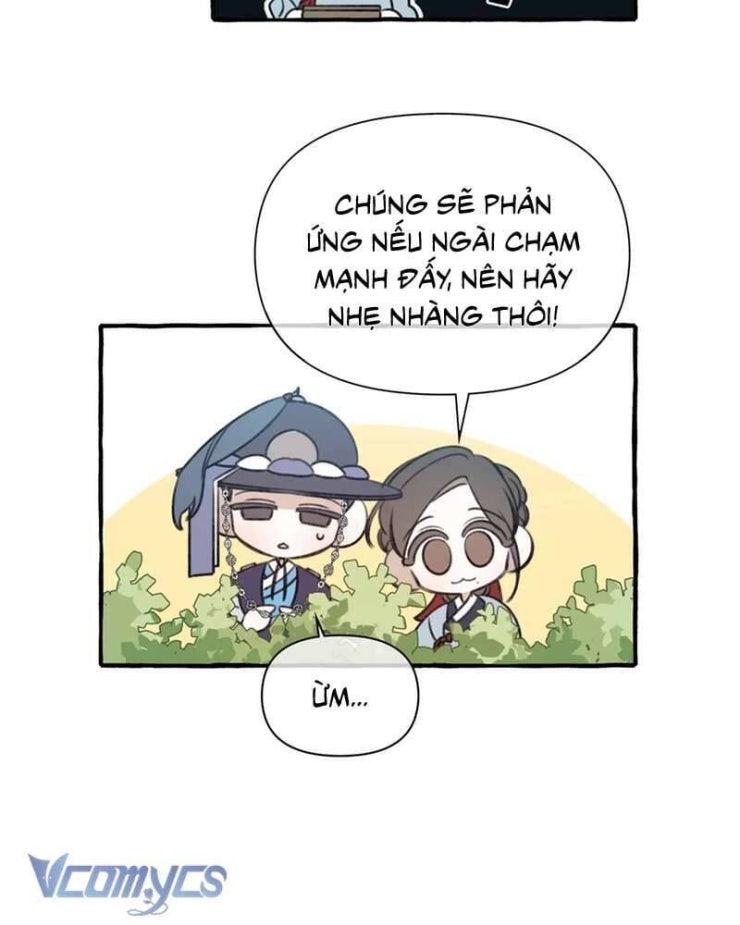 Chuyện Tình Hoa Lưu Ly - Page 51