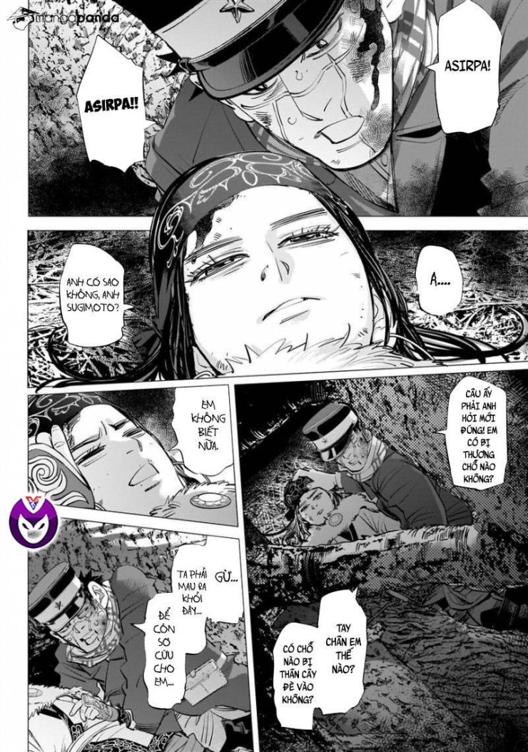 Cơn sốt vàng sau chiến tranh - Page 5