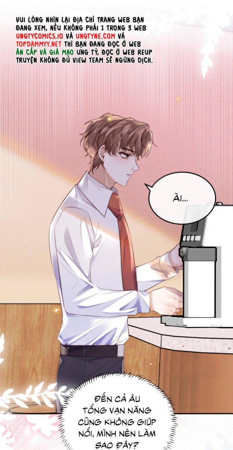 Tổng Tài Định Chế Tư Nhân - Page 4