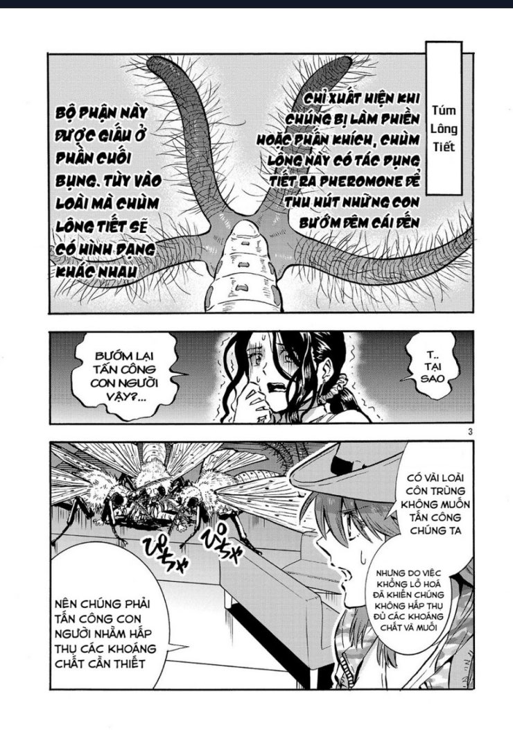 Siêu Đảo Côn Trùng - Page 5