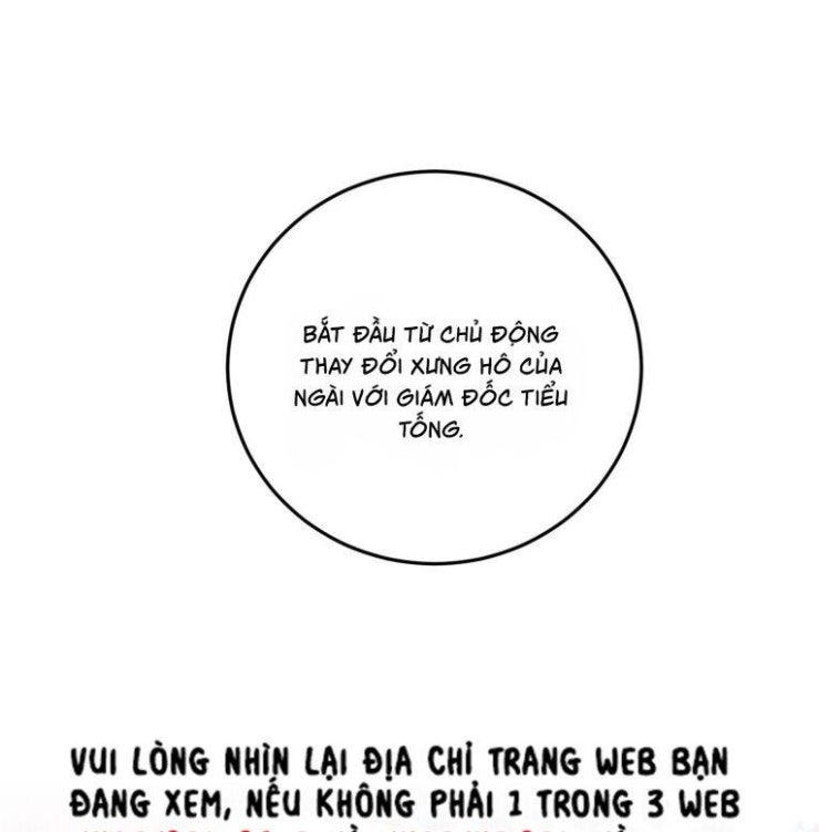 Tổng Tài Định Chế Tư Nhân - Page 47
