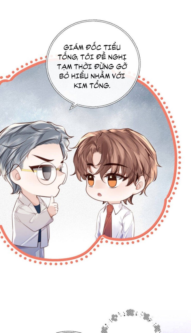 Tổng Tài Định Chế Tư Nhân - Page 13