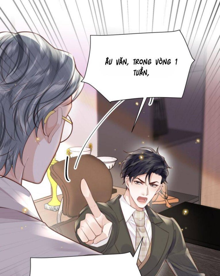 Tổng Tài Định Chế Tư Nhân - Page 34