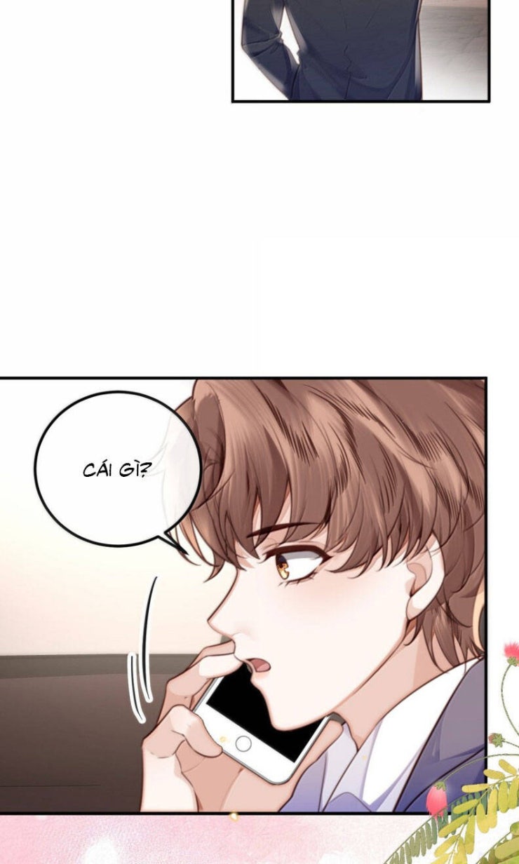 Tổng Tài Định Chế Tư Nhân - Page 31