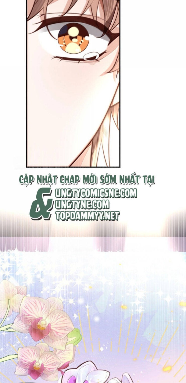 Tổng Tài Định Chế Tư Nhân - Page 32