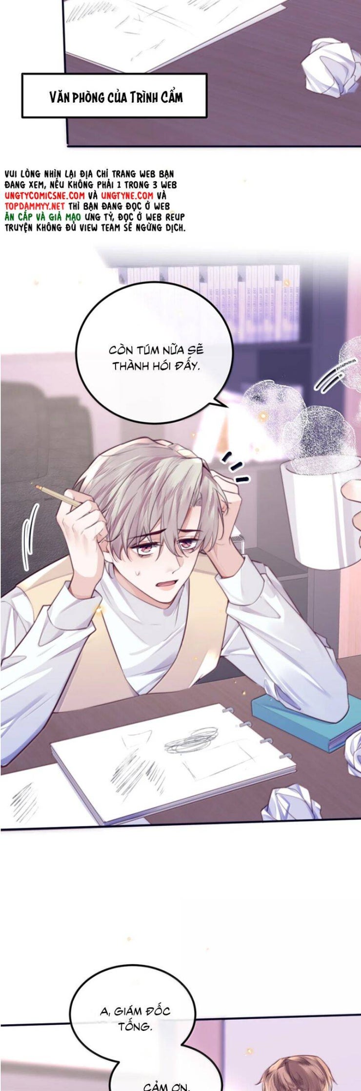 Tổng Tài Định Chế Tư Nhân - Page 19