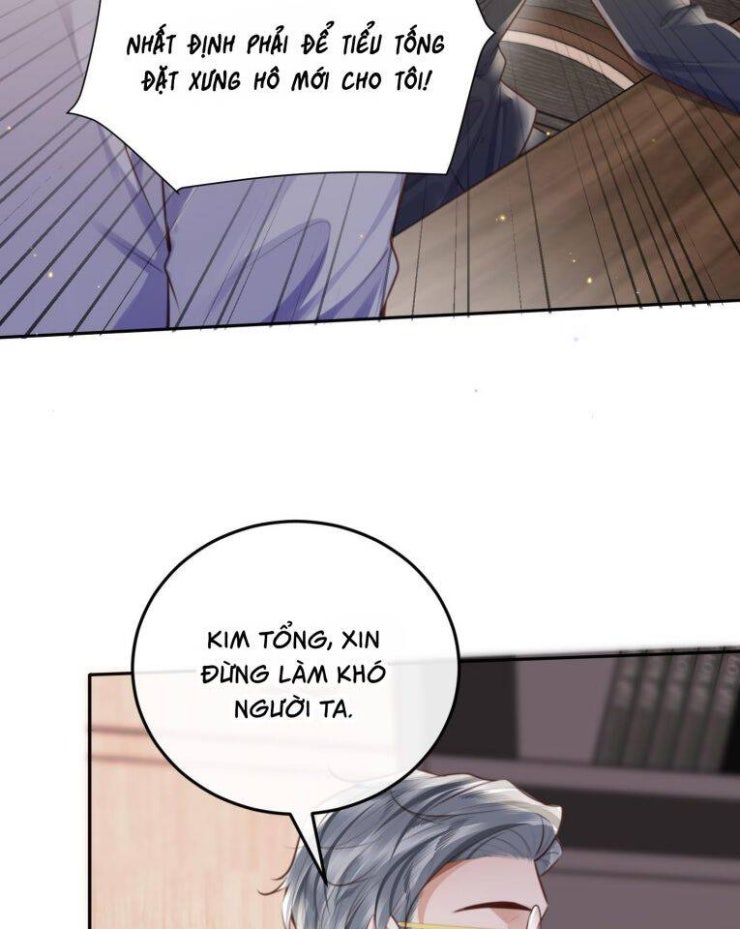 Tổng Tài Định Chế Tư Nhân - Page 35