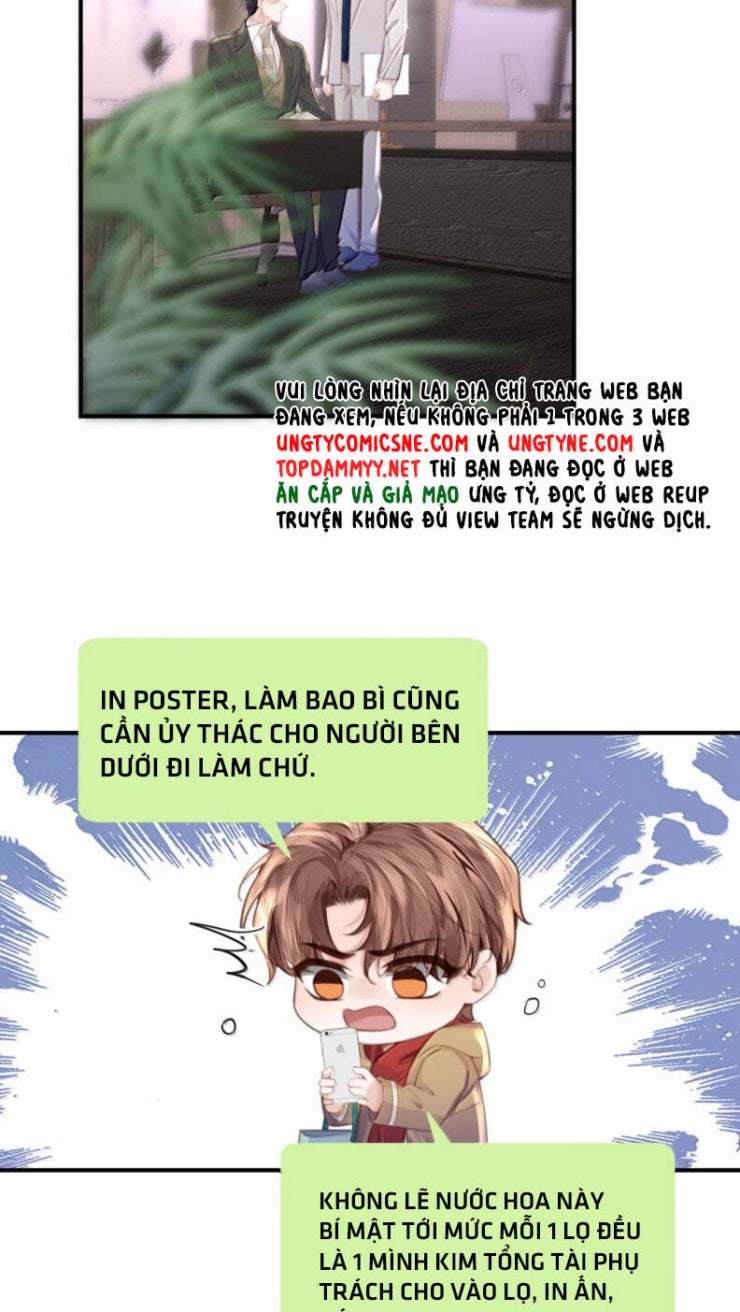 Tổng Tài Định Chế Tư Nhân - Page 15