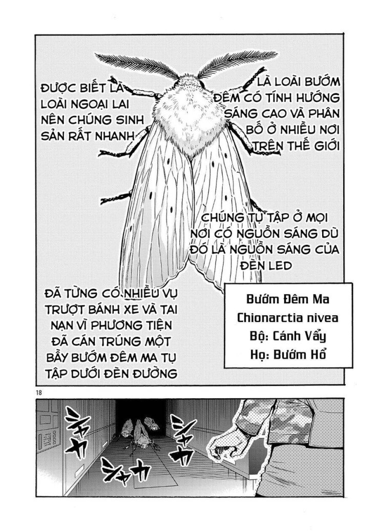 Siêu Đảo Côn Trùng - Page 20
