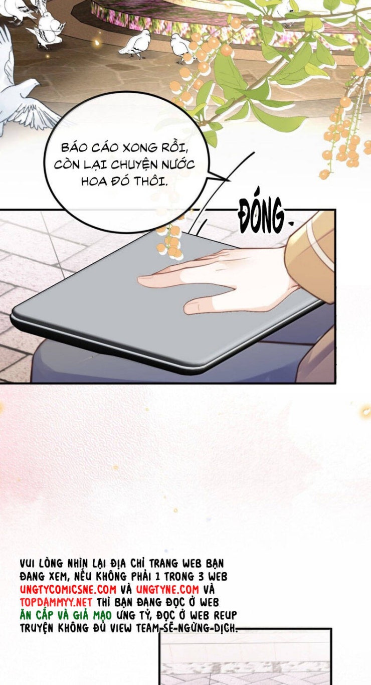 Tổng Tài Định Chế Tư Nhân - Page 14