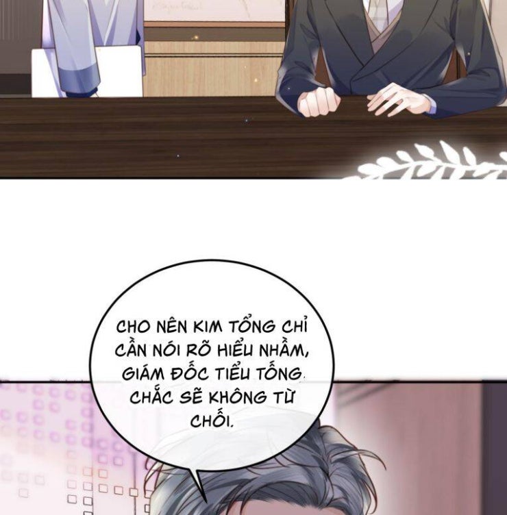 Tổng Tài Định Chế Tư Nhân - Page 41