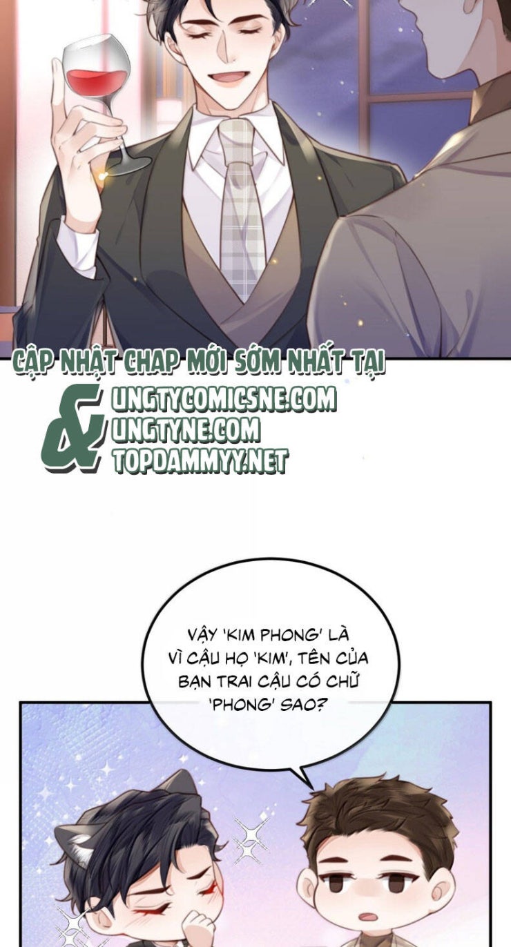 Tổng Tài Định Chế Tư Nhân - Page 11