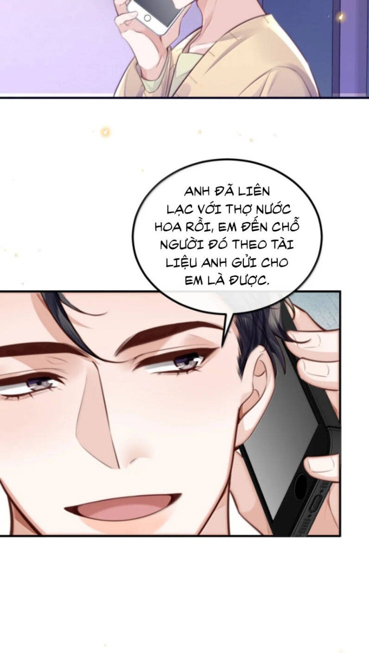 Tổng Tài Định Chế Tư Nhân - Page 28