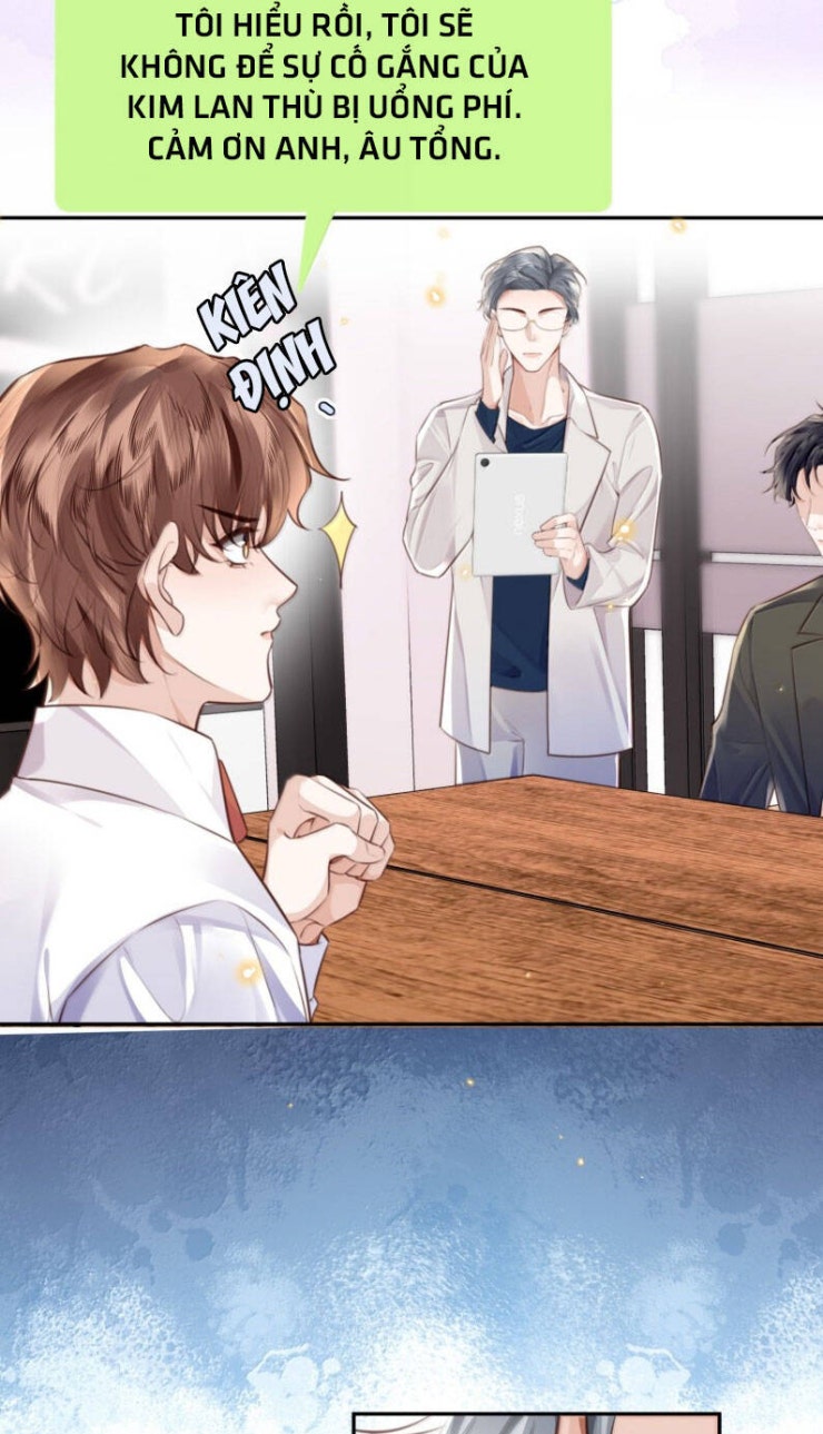 Tổng Tài Định Chế Tư Nhân - Page 16