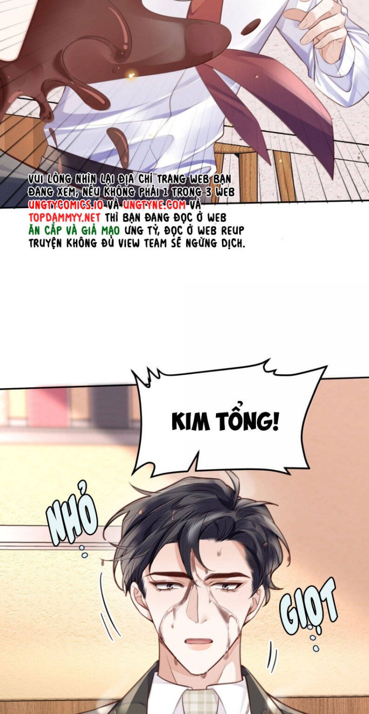 Tổng Tài Định Chế Tư Nhân - Page 7