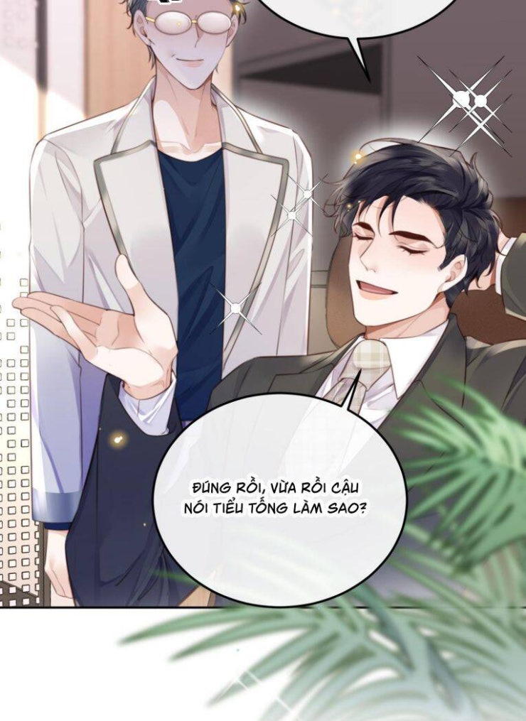 Tổng Tài Định Chế Tư Nhân - Page 25