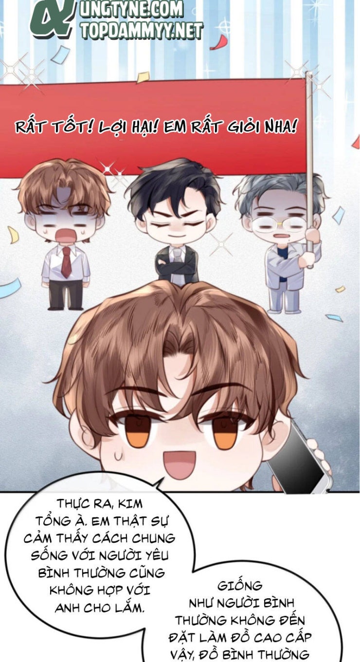 Tổng Tài Định Chế Tư Nhân - Page 15