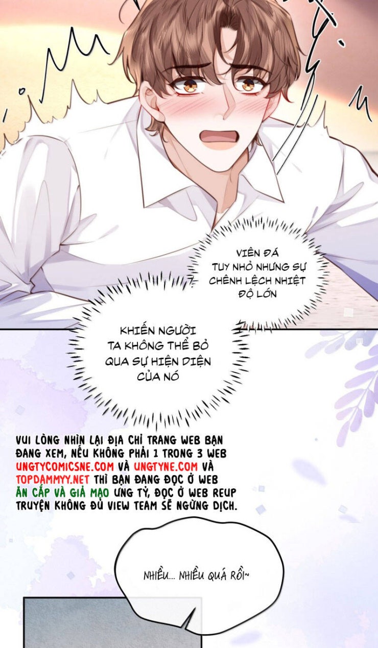 Tổng Tài Định Chế Tư Nhân - Page 16