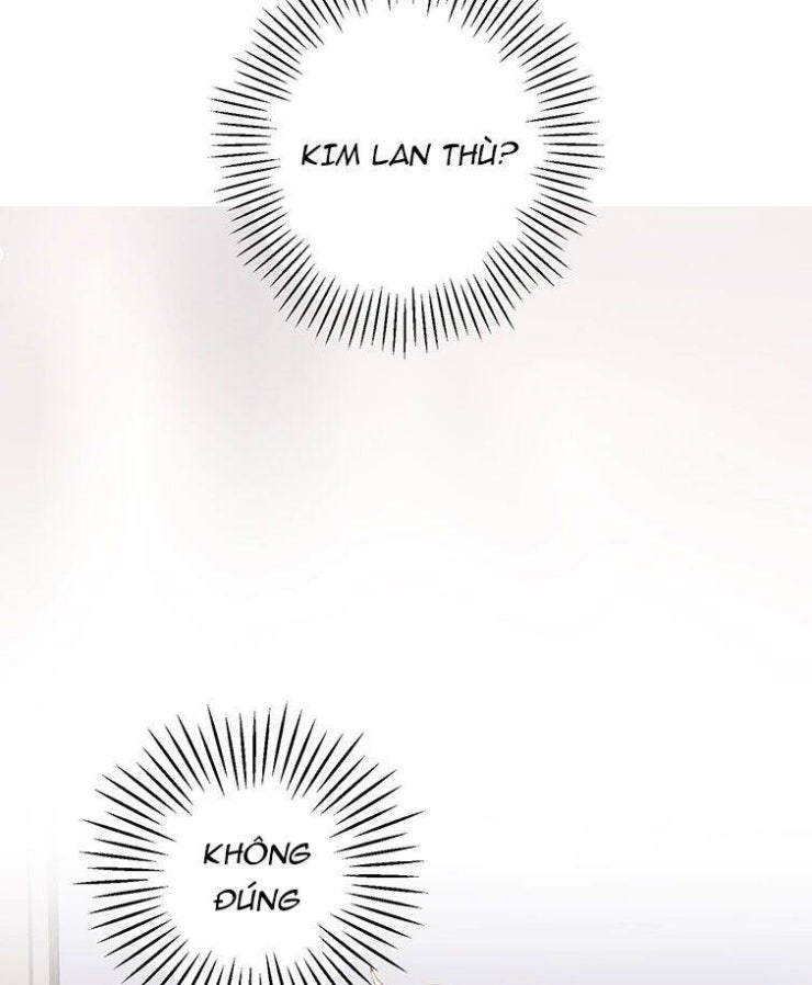 Tổng Tài Định Chế Tư Nhân - Page 10