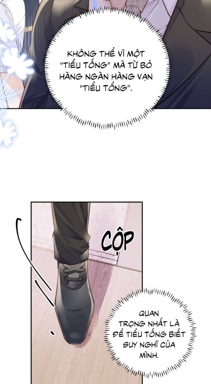 Tổng Tài Định Chế Tư Nhân - Page 20