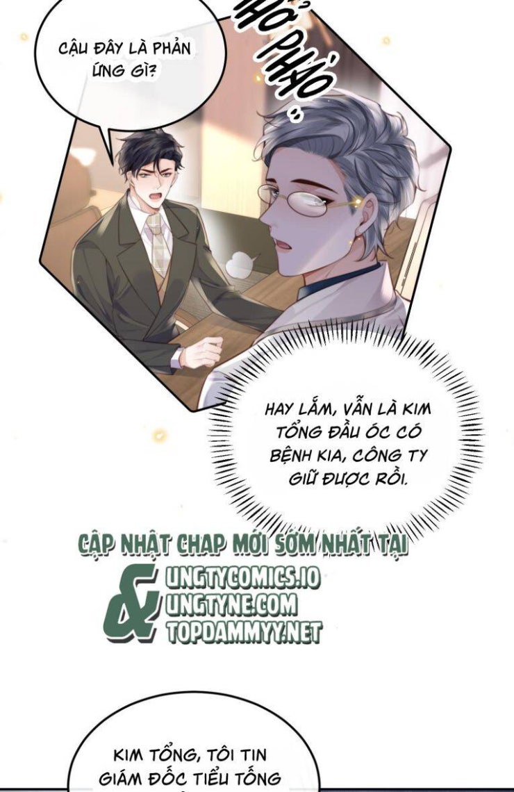 Tổng Tài Định Chế Tư Nhân - Page 11