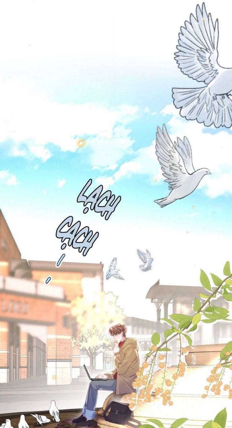 Tổng Tài Định Chế Tư Nhân - Page 13