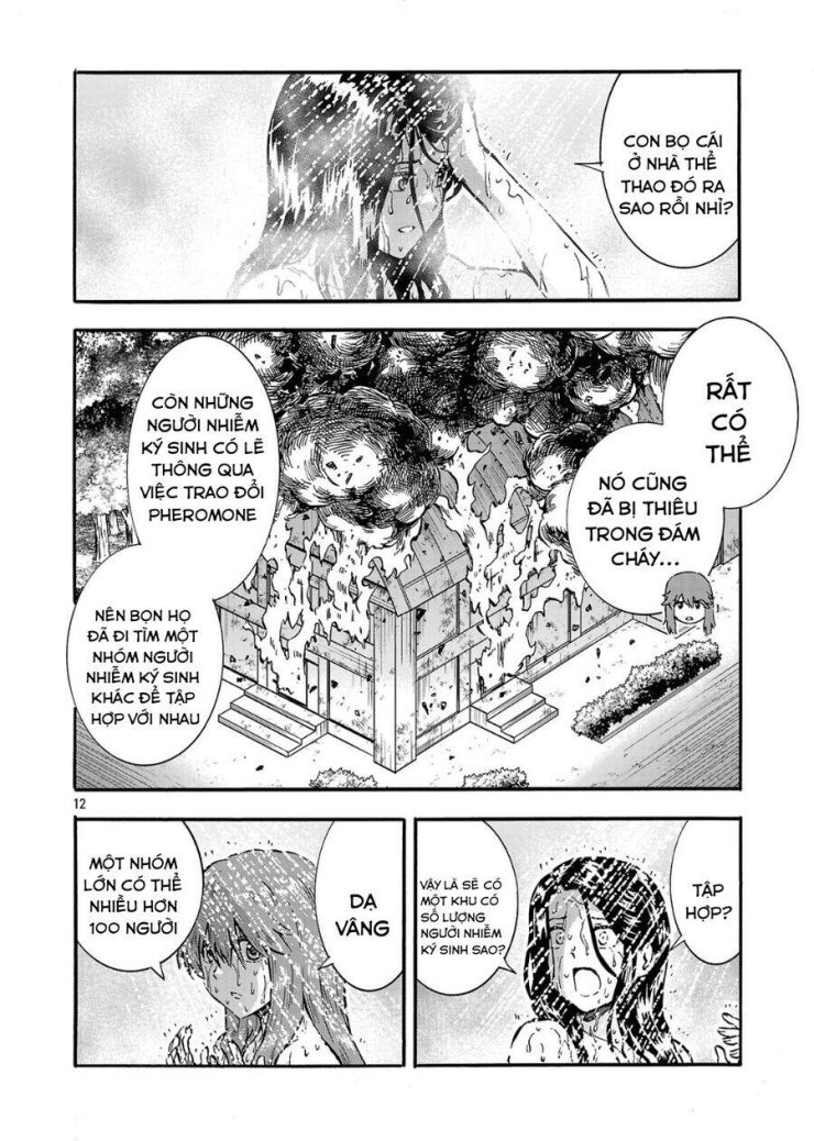 Siêu Đảo Côn Trùng - Page 14