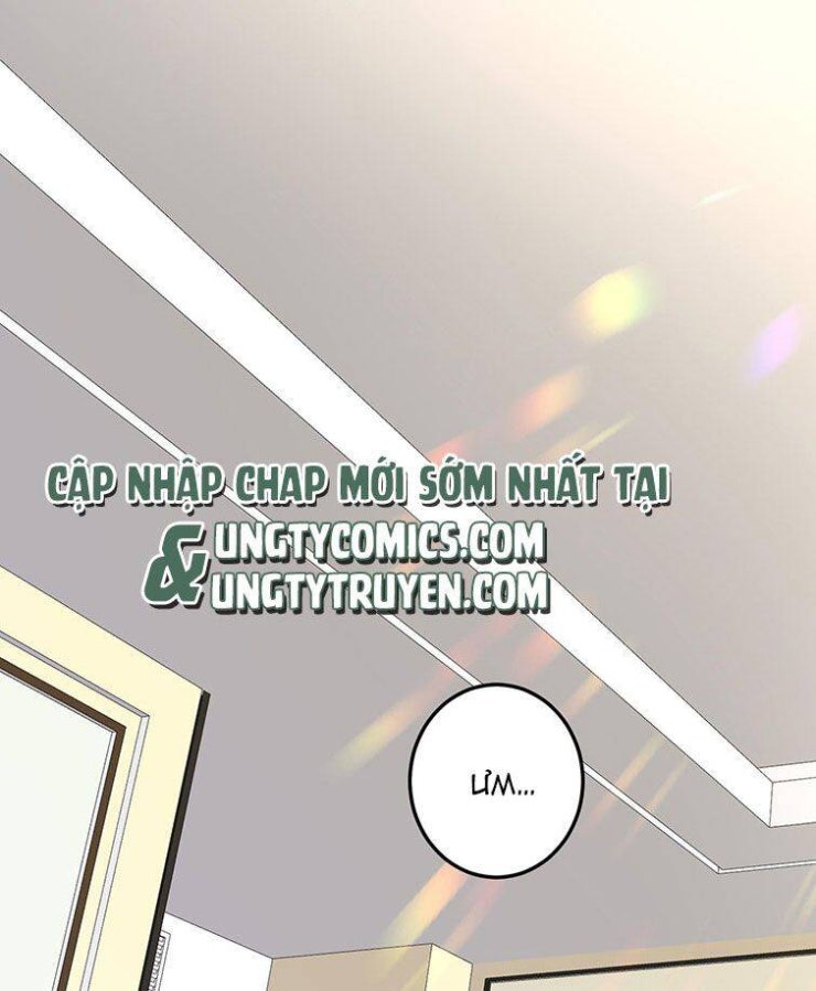 Tổng Tài Định Chế Tư Nhân - Page 4