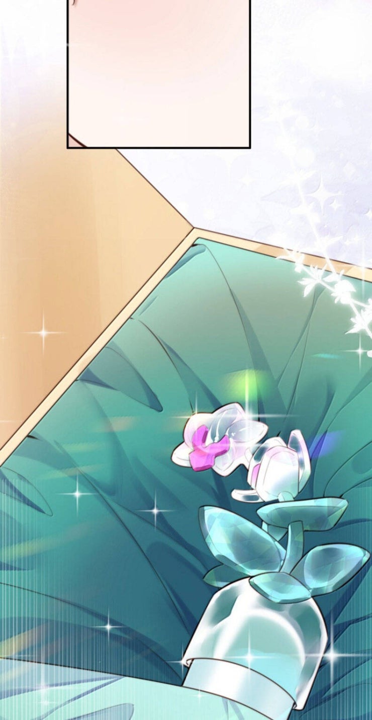 Tổng Tài Định Chế Tư Nhân - Page 32