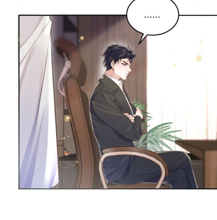 Tổng Tài Định Chế Tư Nhân - Page 43