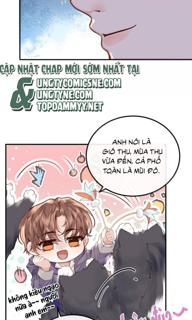 Tổng Tài Định Chế Tư Nhân - Page 29