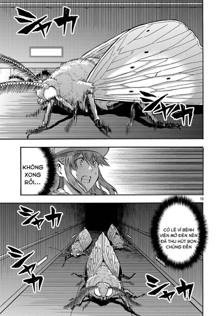 Siêu Đảo Côn Trùng - Page 21