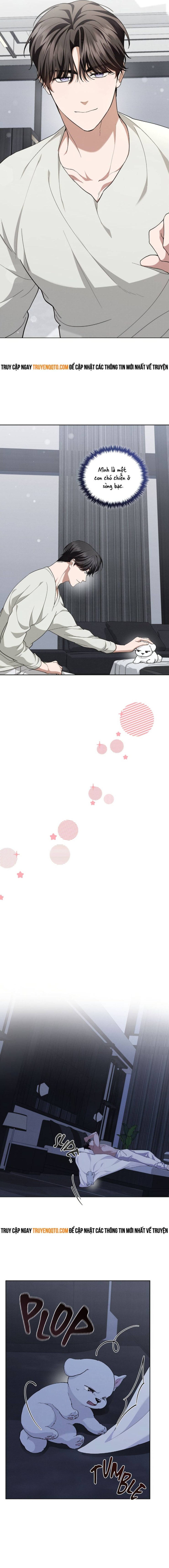 Đừng Đùa Với Cún Con - Page 15