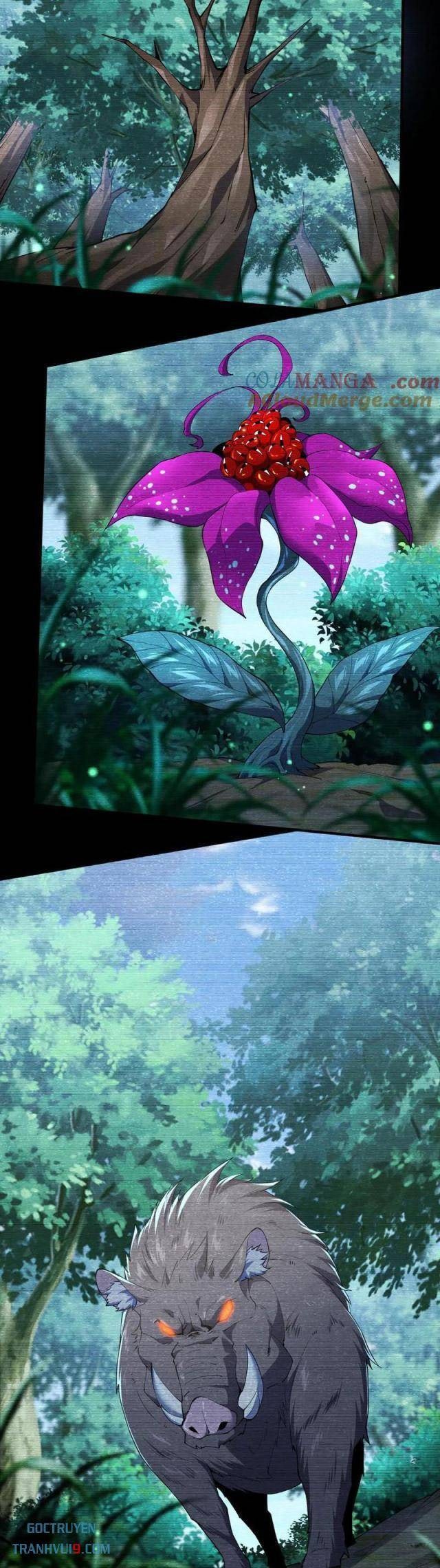 Cá Chép Tiến Hoá Thành Thần Long - Page 13