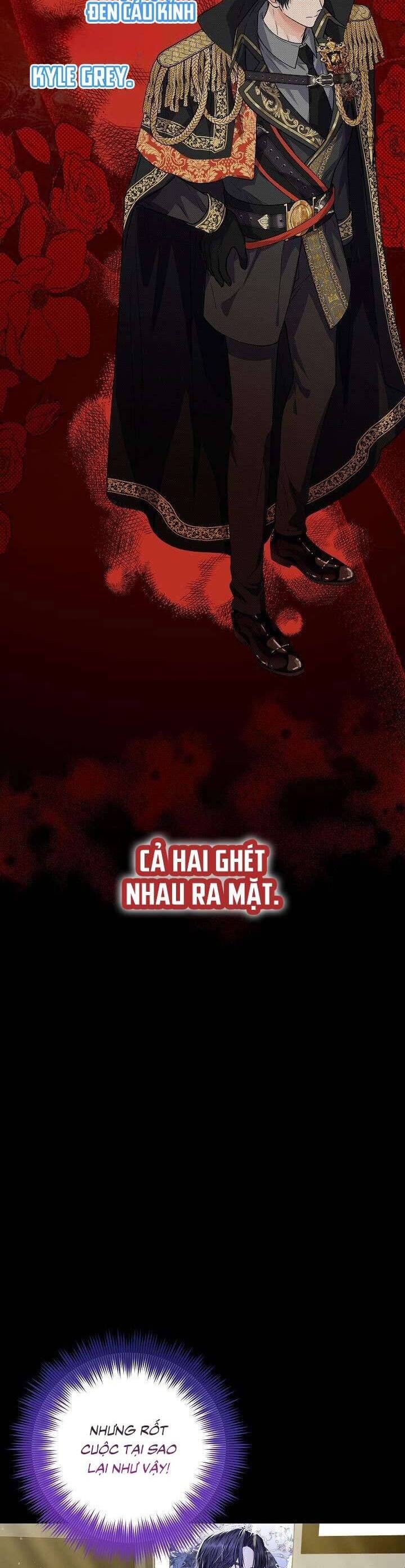 Công Chúa Nhân Danh Fan Cứng - Page 54