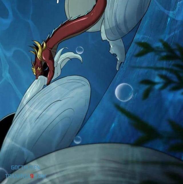 Cá Chép Tiến Hoá Thành Thần Long - Page 16