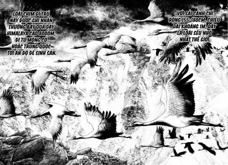 Kokou no Hito - Page 10