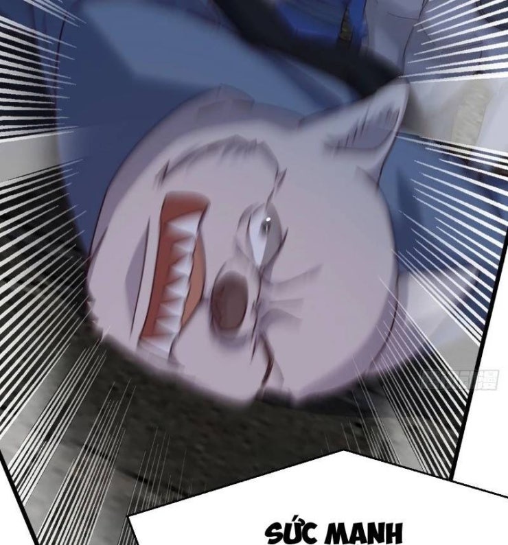 Đệ Tử Siêu Thần Ta Nằm Không, Tông Môn Hủy Diệt Ta Vô Địch - Page 45