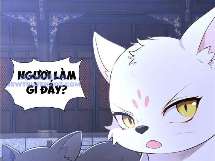 Ta thực sự không muốn làm thần tiên - Page 35