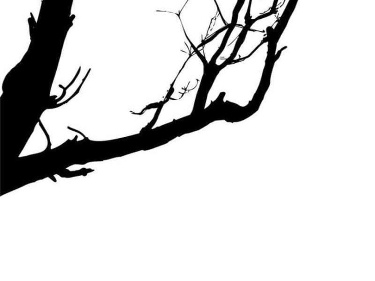 Vinh Quang Kiếm - Page 20