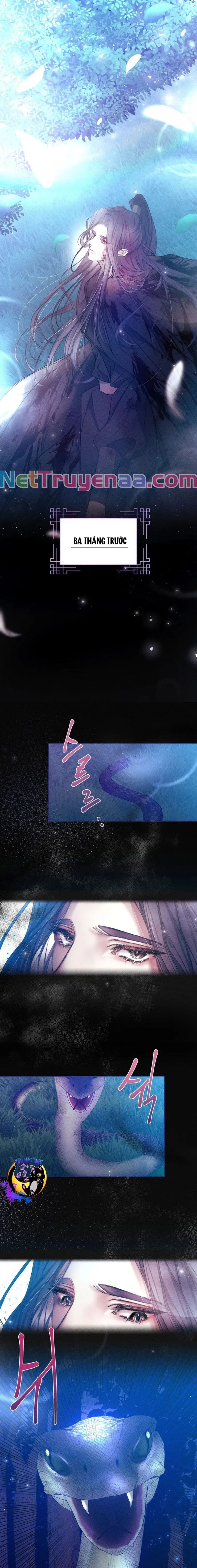 Bạn Đồng Hành Của Ryun - Page 11